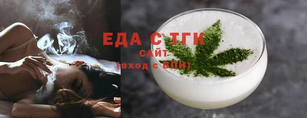 индика Долгопрудный