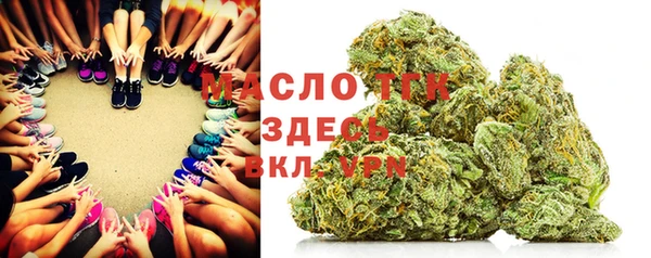 индика Балахна