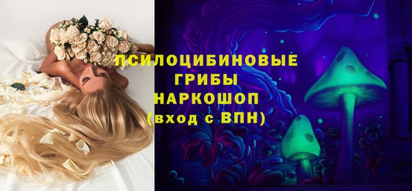 индика Балахна