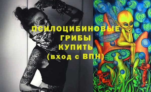 амф Белокуриха
