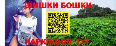 гашик Вышний Волочёк