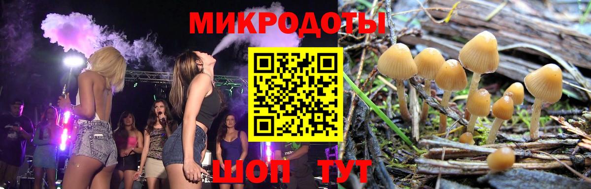 Псилоцибиновые грибы мухоморы  как найти наркотики  Богданович  Вход с VPN 